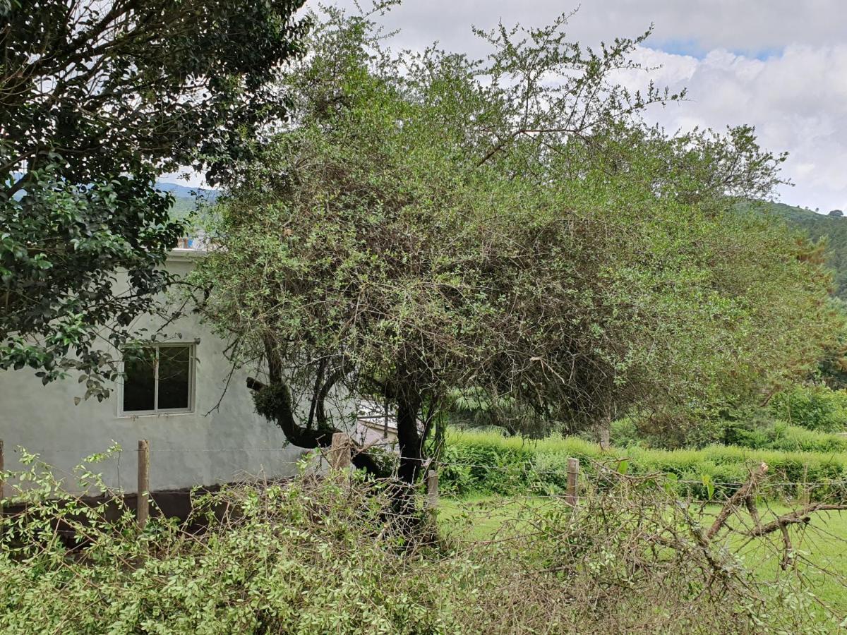 Villa Casas de Racó Exterior foto